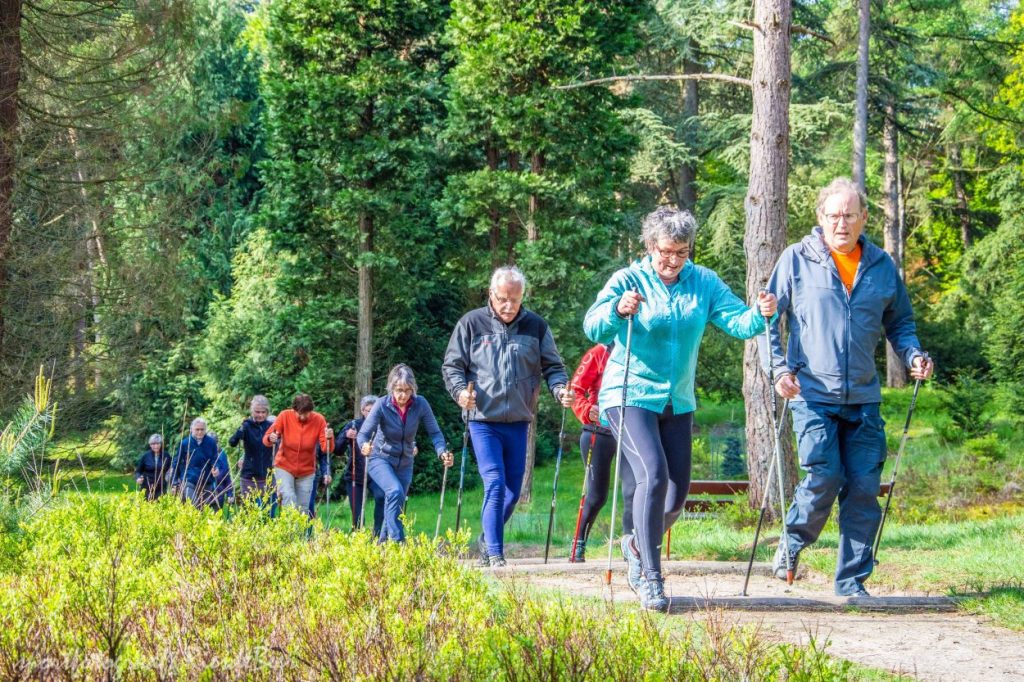 Nieuwe beginnerscursus Nordic Walking start eind oktober