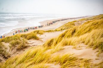 egmond 2